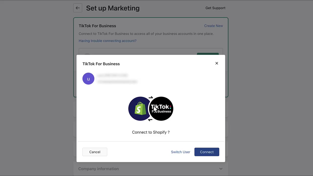 Cómo instalar el Pixel de TikTok Ads en Shopify